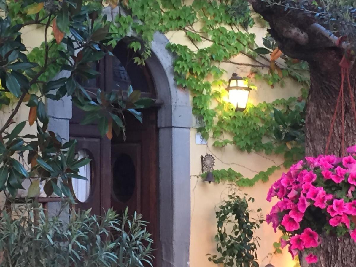 Il Sole Del Sodo Guest House Cortona Eksteriør bilde