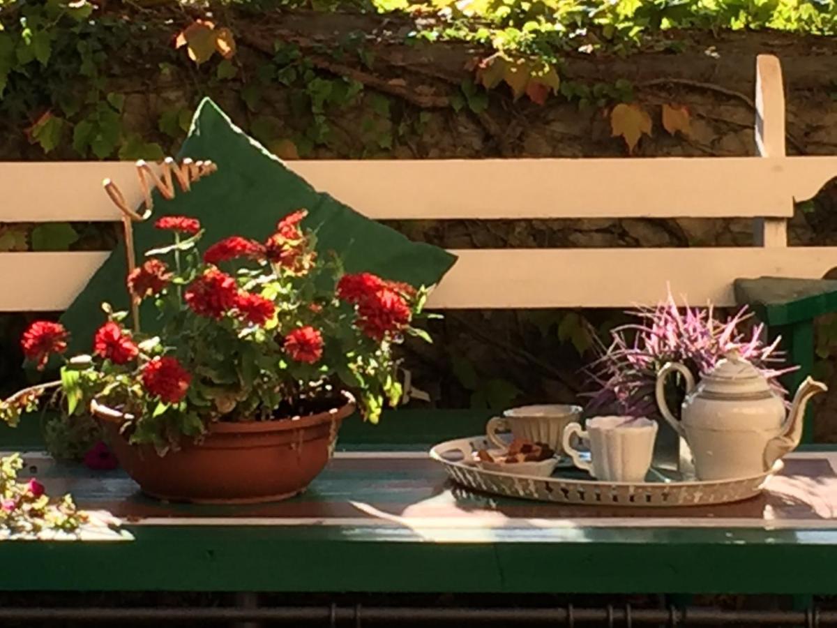 Il Sole Del Sodo Guest House Cortona Eksteriør bilde