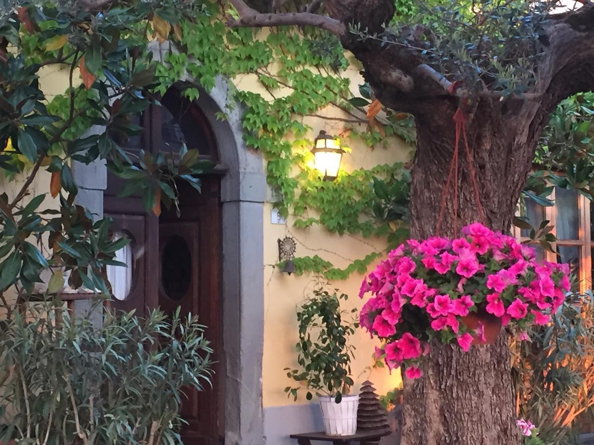 Il Sole Del Sodo Guest House Cortona Eksteriør bilde