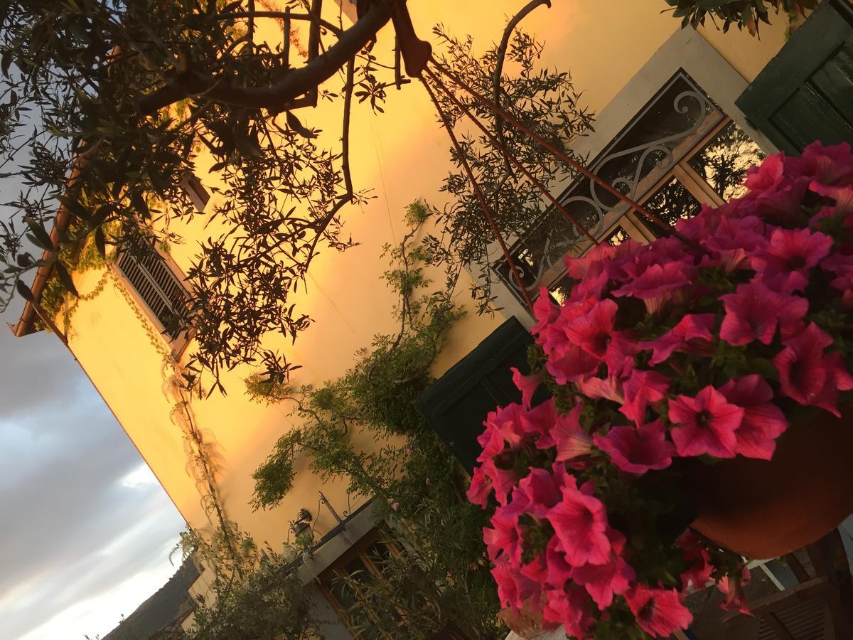 Il Sole Del Sodo Guest House Cortona Eksteriør bilde