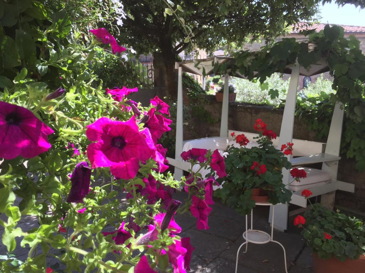 Il Sole Del Sodo Guest House Cortona Eksteriør bilde