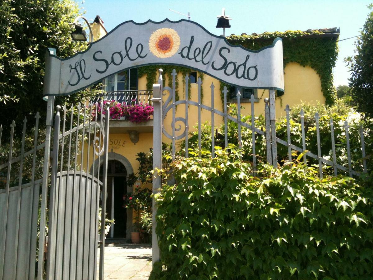 Il Sole Del Sodo Guest House Cortona Eksteriør bilde